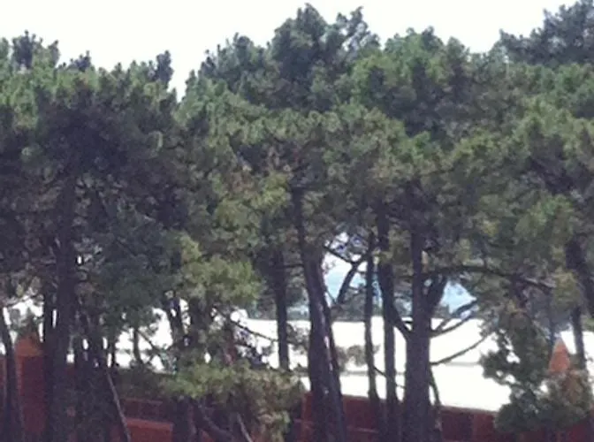 Апартаменты House Cabedelo *