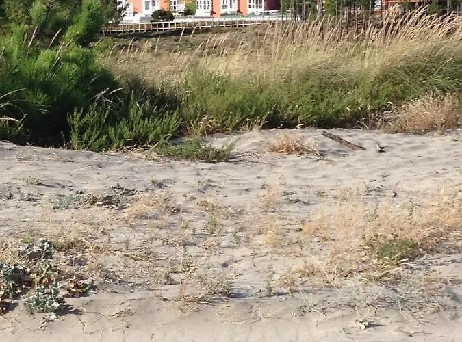 Апартаменты House Cabedelo Виана-ду-Каштелу